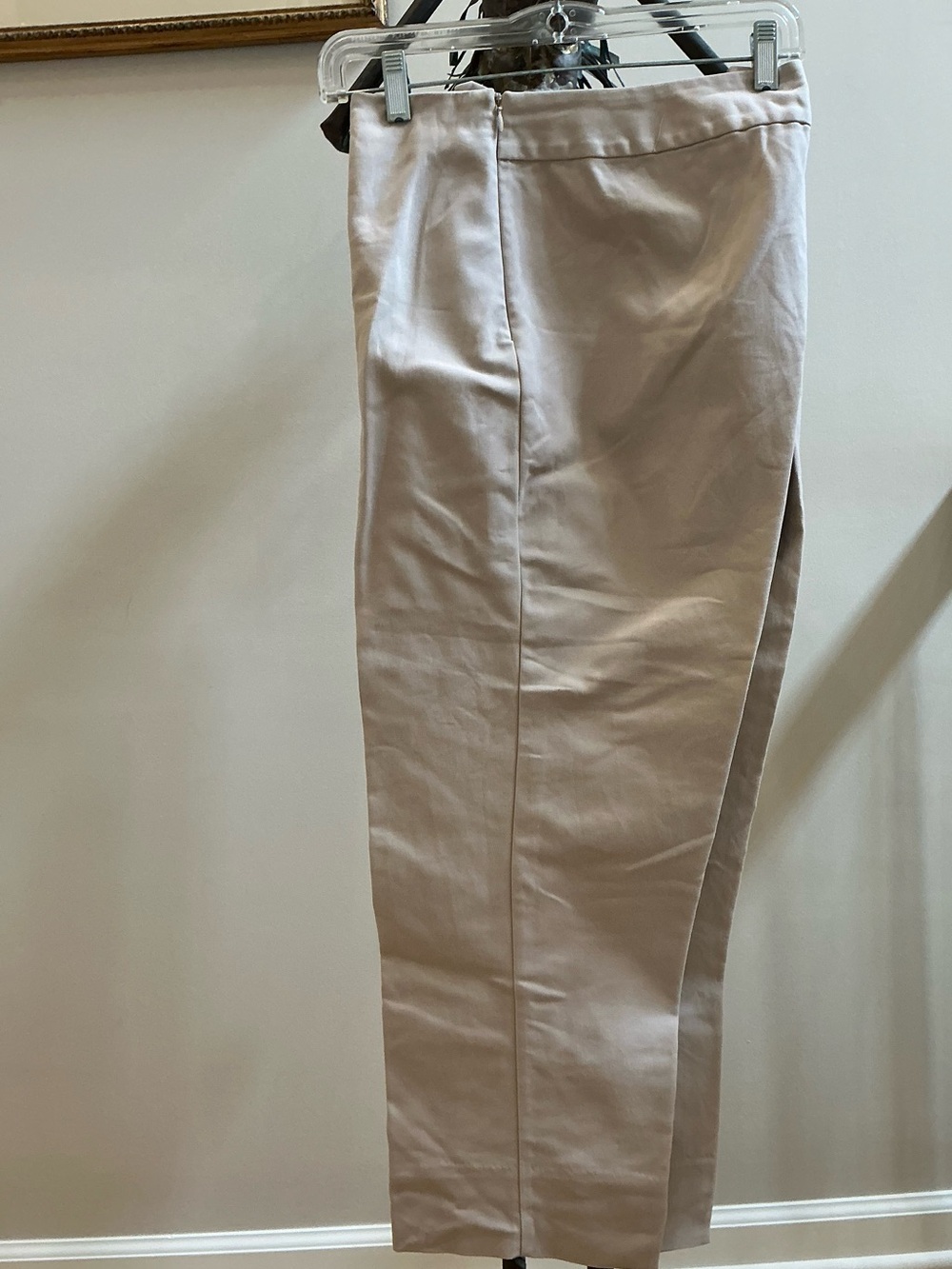 Women’s Cropped Tailored Gallia Moda Pants in Light Taupe